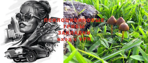 круглые Алексин