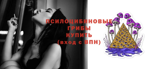 СК Алексеевка