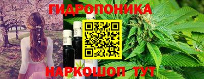 мяу мяу мука Краснокаменск