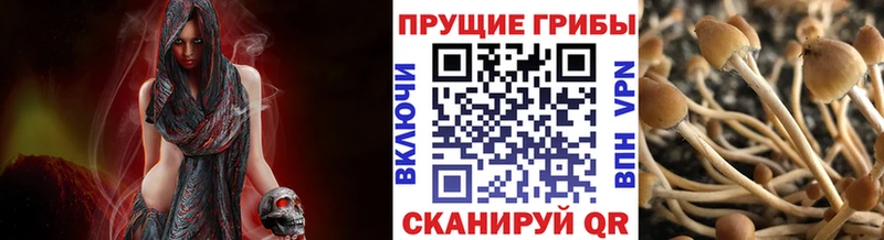 Галлюциногенные грибы Magic Shrooms  Волхов 